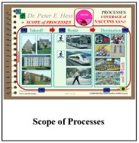 == COVID 36 Scope of Processes